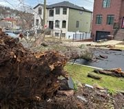 - A tree was downed on Meadow Avenue in Old Town during the storm that lasted from Tuesday, Jan. 9 through Wednesday, Jan. 10, 2024. (Courtesy of Mary Konz)