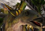 Jurassic Quest will once again brings life sized dinosaurs to the New York State Fairgrounds starting Friday,
Scott Schild | sschild@syracuse.com Scott Schild | sschild@syracuse.com